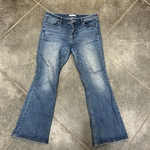 White House Black Market 8 Short Bootcut Jeans